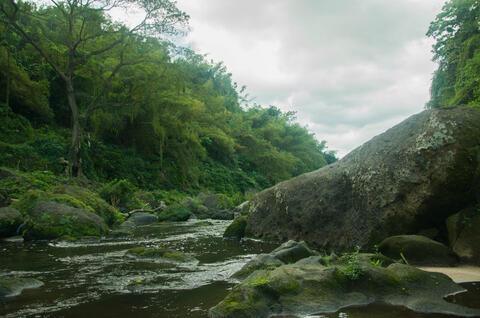 Landscape